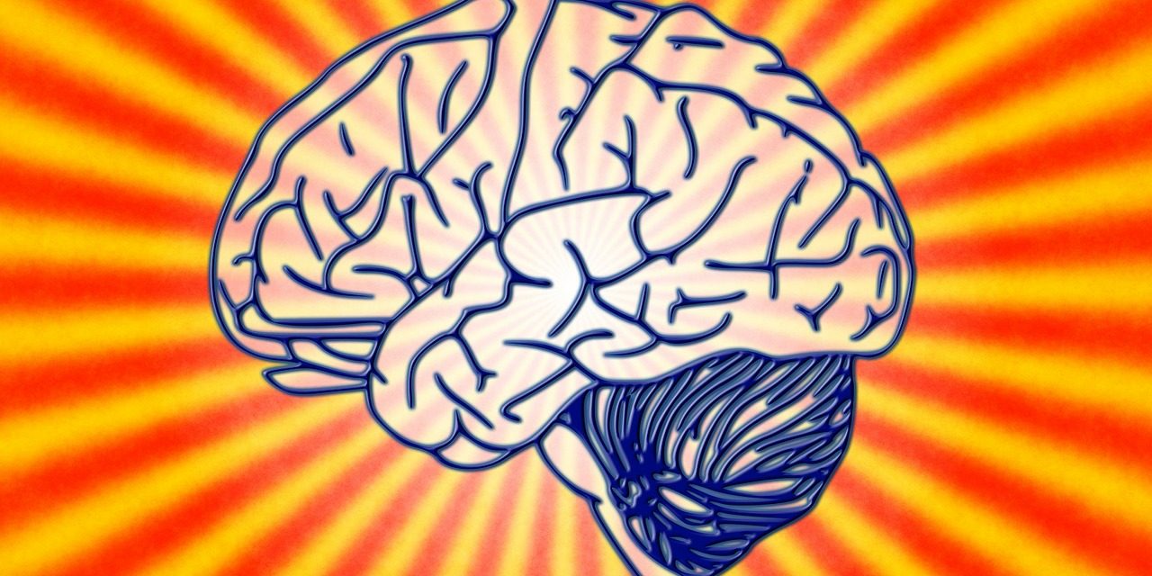 brain-78440_1280 สมอง