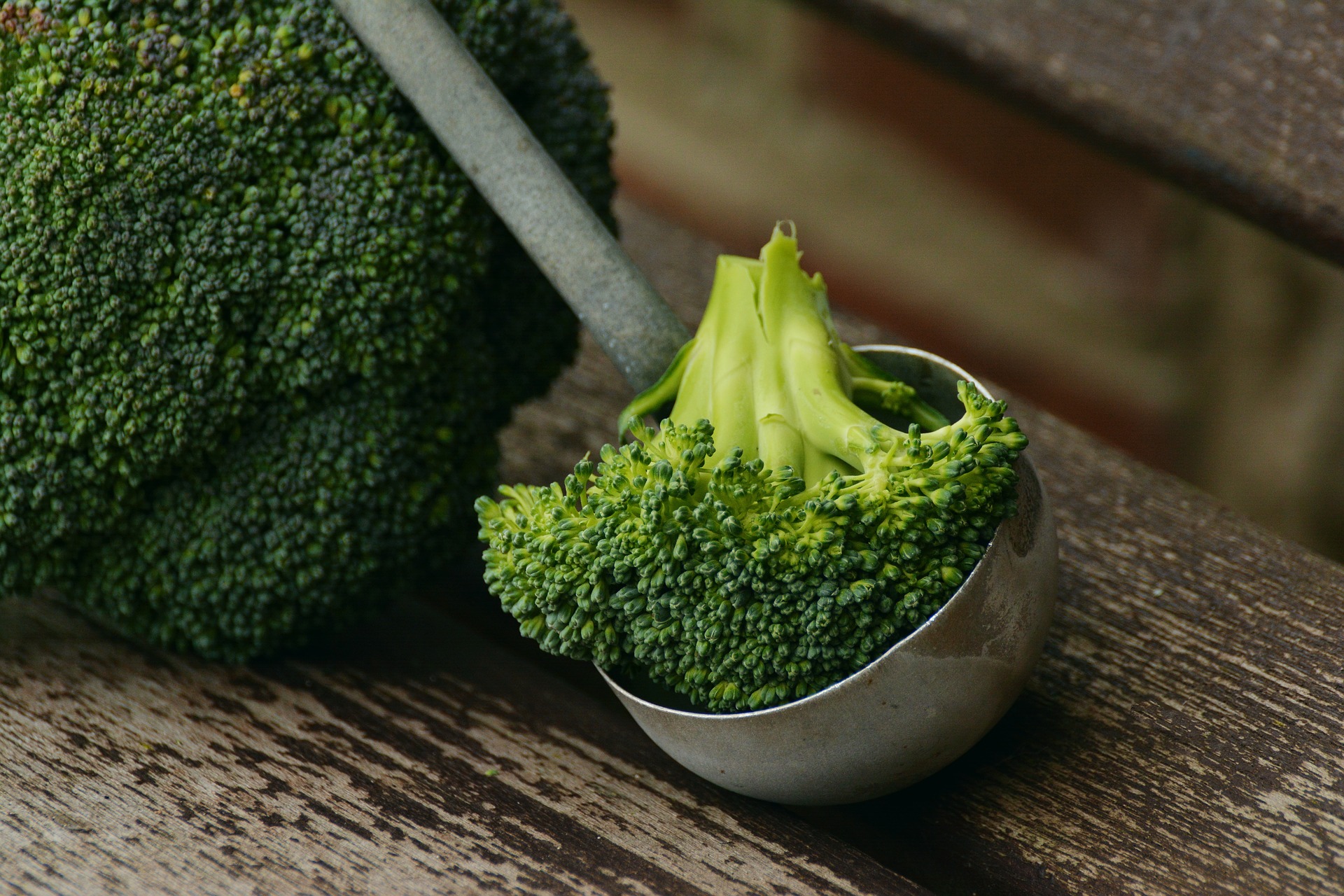Sulforaphane from broccoli helps autism Primo Trading Company Limited