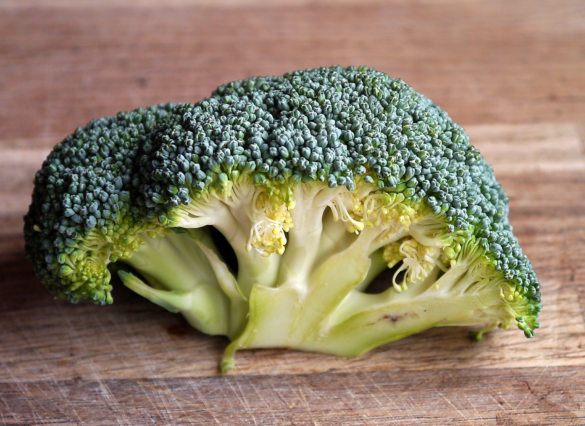 Broccoli Helps Clear Damaged Lungs Primo Trading Company Limited