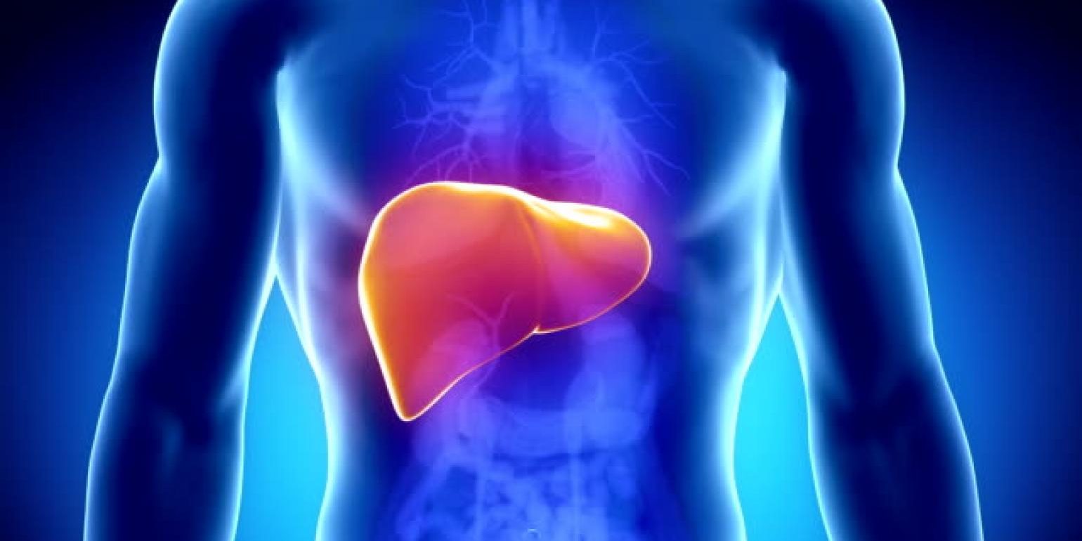 istockphoto-472877287-640×640