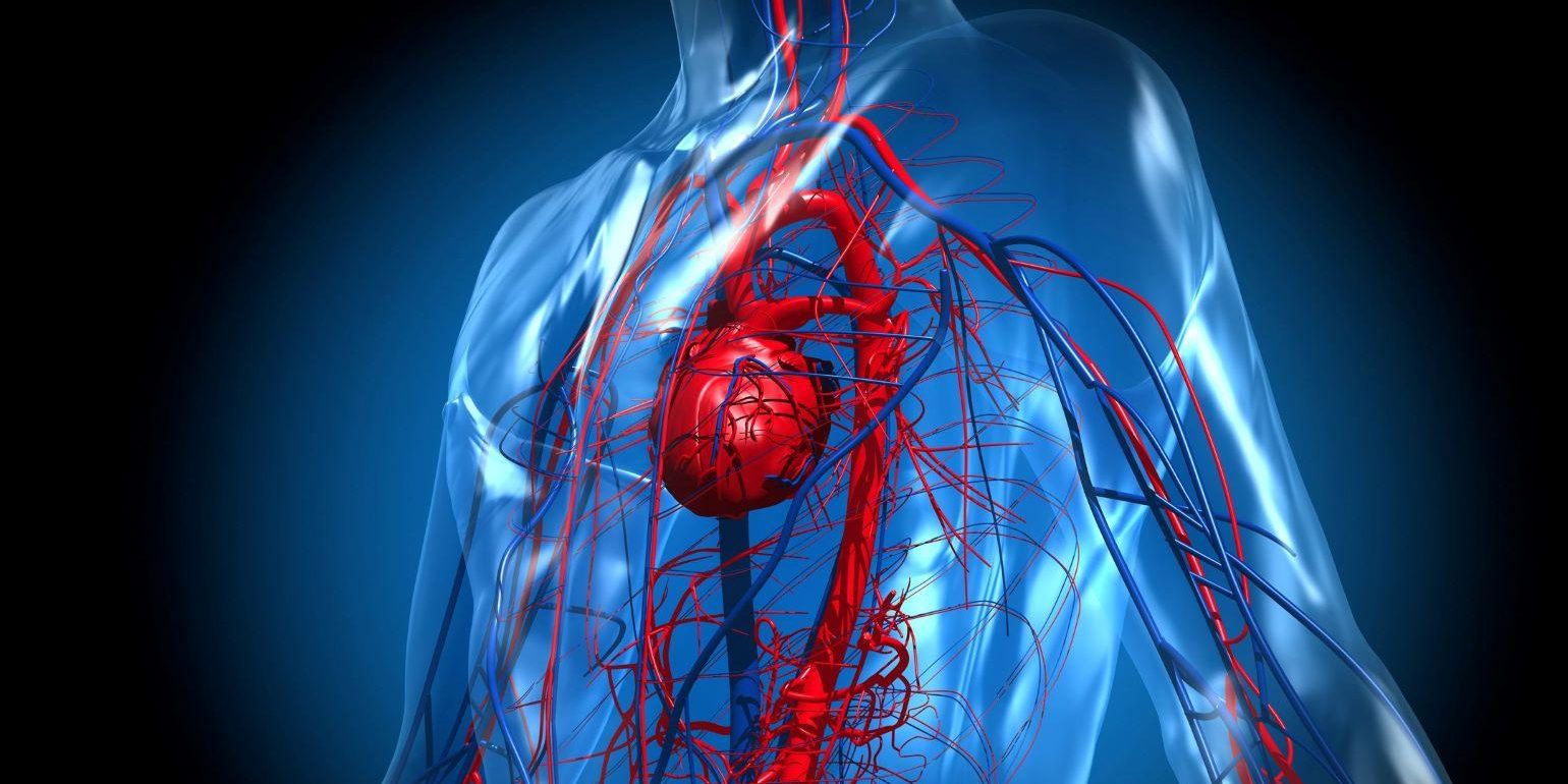 Anthocyanis bromelain improve muscle oxygenation endothelial function 1540x800_1