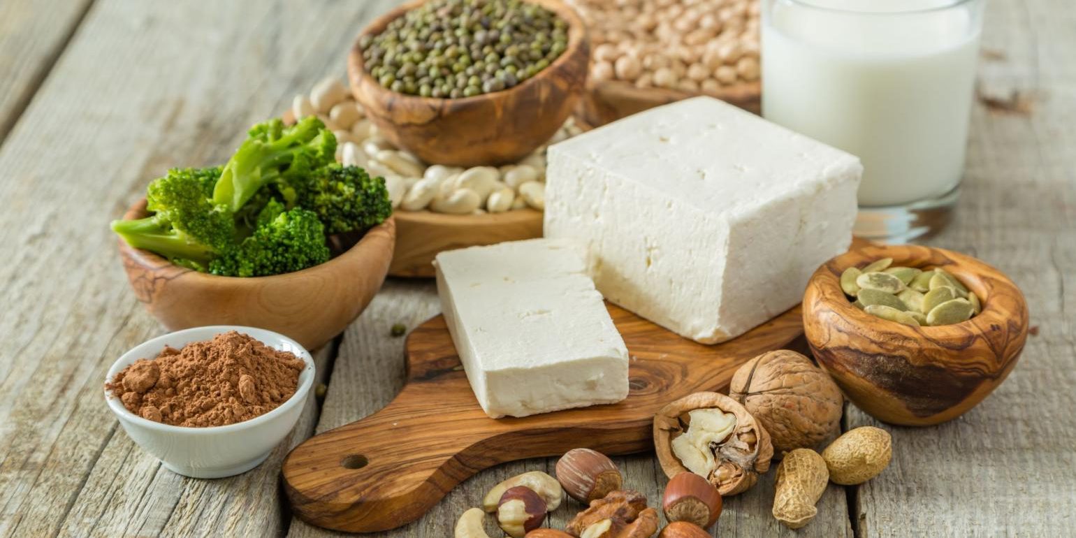 mainstream-protein-ingredients