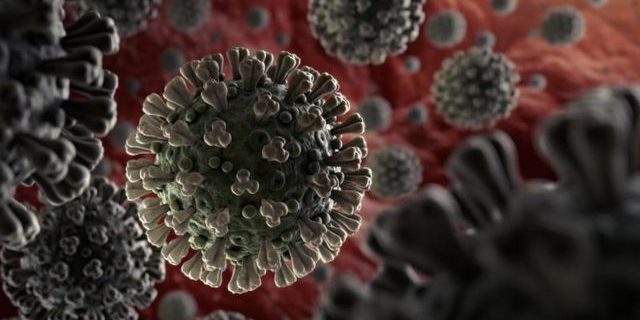 _111955904_newcoronavirusgraphicgettyimages