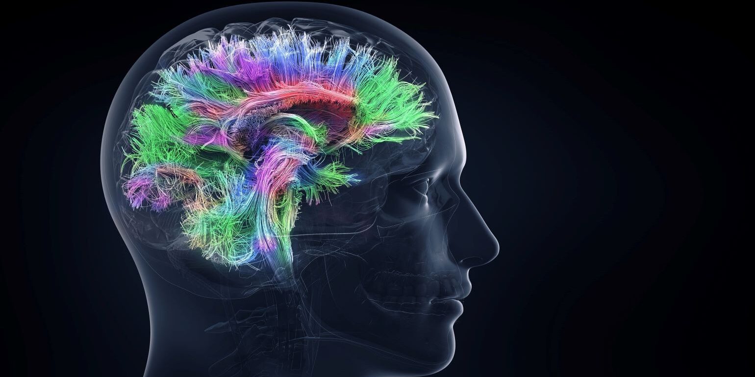 Cognitive processes_622433543