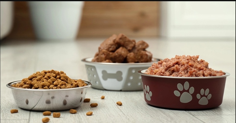 Functional pet food ingredients on the rise as healthminded owners